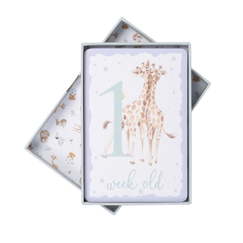 Wrendale Milestone Cards