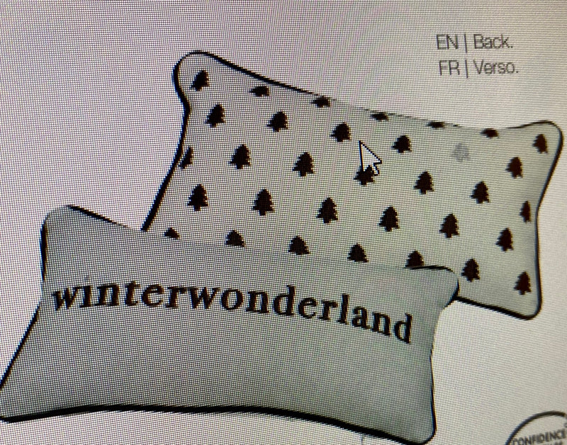 Winter Wonderland Small Pillow